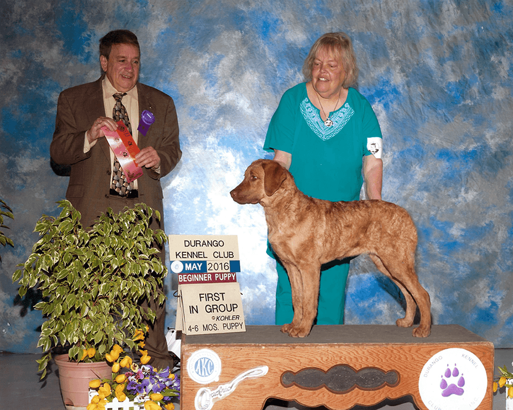 RACH CH Spinnaker's Oh No Never Of Ocotilla